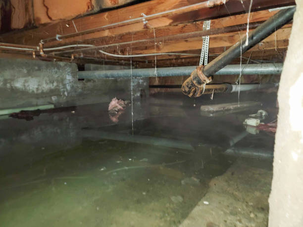 Best Flood damage cleanup  in New Fairview, TX