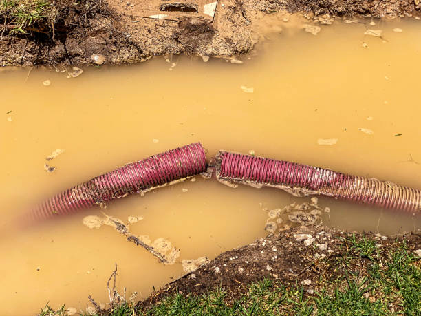 Best Local water damage restoration  in New Fairview, TX